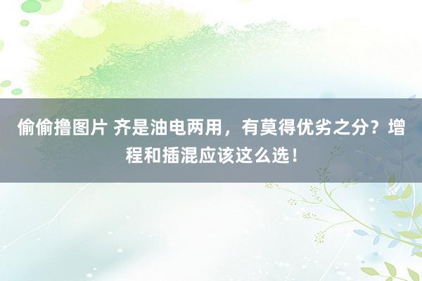 偷偷撸图片 齐是油电两用，有莫得优劣之分？增程和插混应该这么选！
