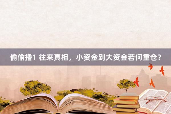 偷偷撸1 往来真相，小资金到大资金若何重仓？
