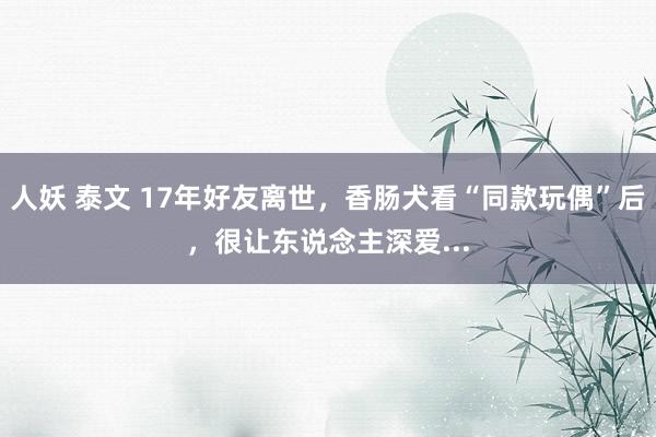 人妖 泰文 17年好友离世，香肠犬看“同款玩偶”后，很让东说念主深爱...