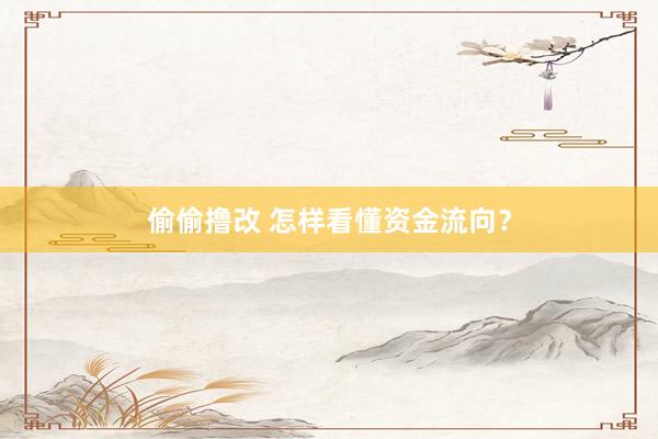偷偷撸改 怎样看懂资金流向？