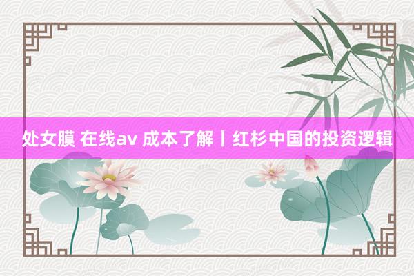 处女膜 在线av 成本了解丨红杉中国的投资逻辑