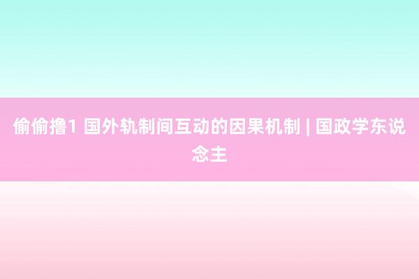 偷偷撸1 国外轨制间互动的因果机制 | 国政学东说念主