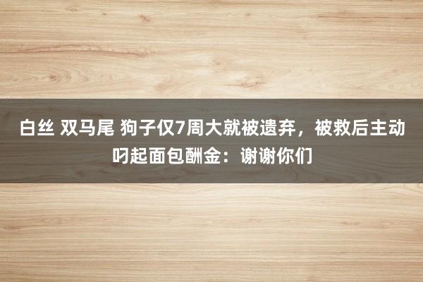 白丝 双马尾 狗子仅7周大就被遗弃，被救后主动叼起面包酬金：谢谢你们
