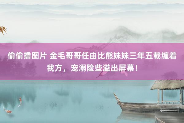 偷偷撸图片 金毛哥哥任由比熊妹妹三年五载缠着我方，宠溺险些溢出屏幕！