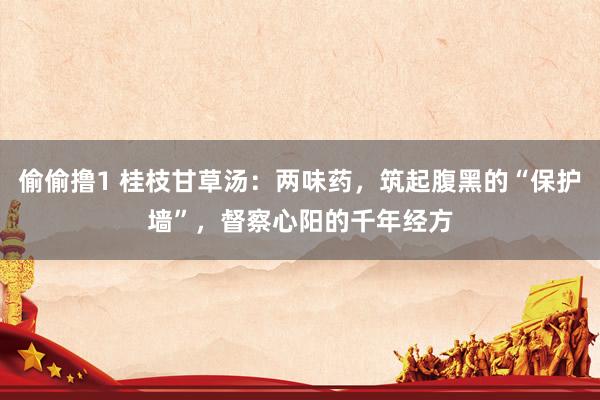 偷偷撸1 桂枝甘草汤：两味药，筑起腹黑的“保护墙”，督察心阳的千年经方