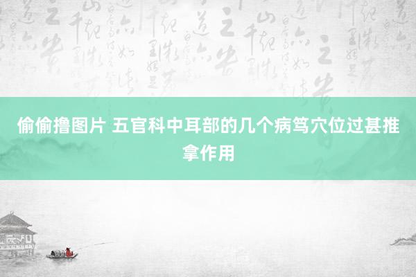 偷偷撸图片 五官科中耳部的几个病笃穴位过甚推拿作用