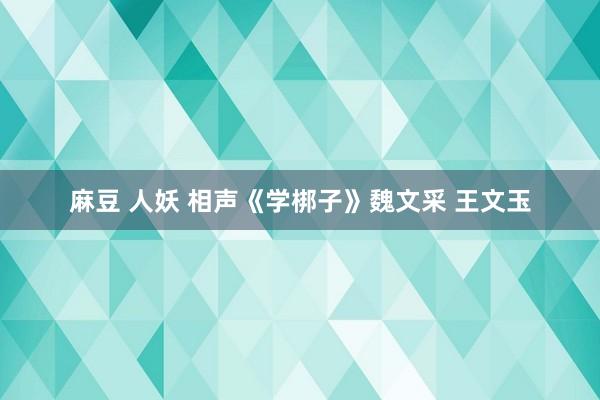 麻豆 人妖 相声《学梆子》魏文采 王文玉